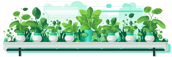 Mastering Hydroponics: Top Questions Answered for Maximum Yield